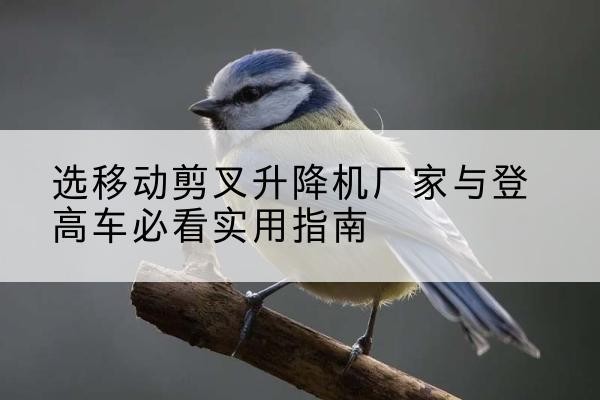 中方电动升降机厂家-选移动剪叉升降机厂家与登高车必看实用指南