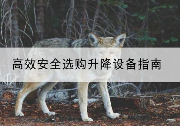 中方升降货梯厂家推荐-*安全选购升降设备指南