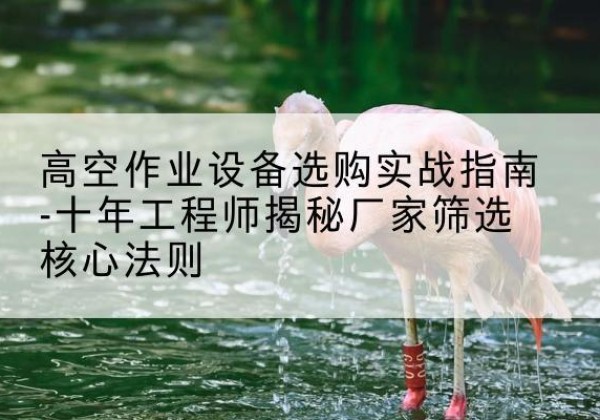 中方剪叉式升降机厂家-高空作业设备选购实战指南-十年工程师揭秘厂家筛选核心法则